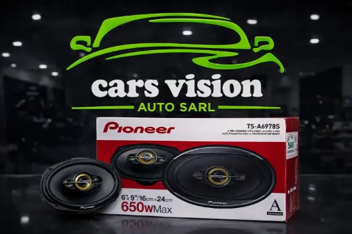 [BAFFLE-0002] BAFFLE DE PORTIERE PIONEER 650W